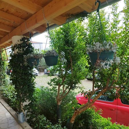 Depadansa Lisette Otel Crikvenica Dış mekan fotoğraf