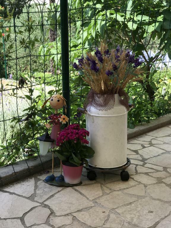 Depadansa Lisette Otel Crikvenica Dış mekan fotoğraf
